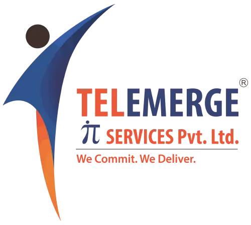 Telemerge IT Services
